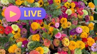 October Live - Chatting Field Planning, Succession Planting, and Marketing etc!