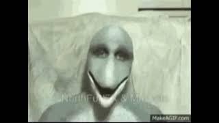 dolphin man