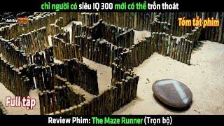 Chỉ người có siêu IQ 300 mới có thể trốn thoát - tóm tắt phim The Maze Runner