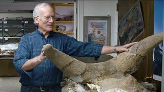 10,000+ Dinosaurs Buried in Wyoming During Noah's Flood - Dr. Arthur Chadwick