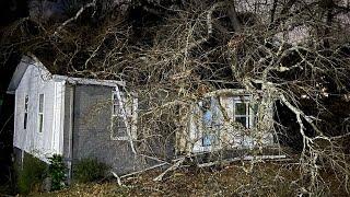 Arborists prepare for surge in calls as storm hits north Georgia