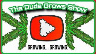 2023 Cannabis reUnrestricted - ReUpload: The Dude Grows Show 1,443
