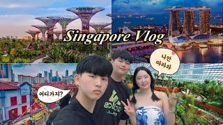 ENG) Singapore travel vlog driving from Malaysia and crossing the border Singapore hotel restaurant