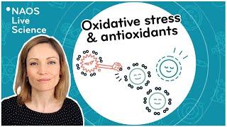 Oxidative stress and antioxidants