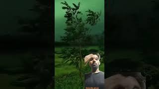 Bismillah hi Rahman Rahim #duet #love #beautiful #answer #islamicprayer #yaali subscribe please like