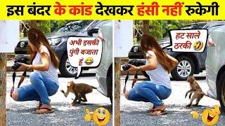 इस बंदर के कांड देखकर हंसी नहीं रुकेगी । animal funny compilation । monkey funny