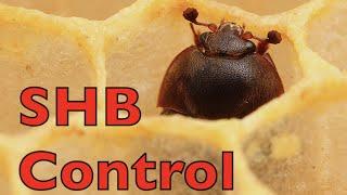 Possible New Hive Beetle Control
