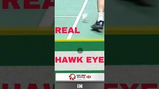 The Error of Hawk Eye #badminton #バドミントン #badmintonindonesia #fyp