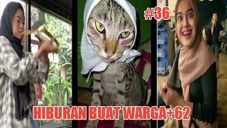 HIBURAN BUAT WARGA+62 | BIKIN KERAM PERUT !!!