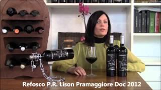 Refosco P. R. Lison Pramaggiore Doc 2012 - Terra Musa (english version)