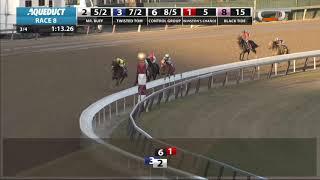 Mr. Buff - 2018 - The Alex M. Robb Stakes