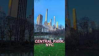 Is Central Park Actually Cool?