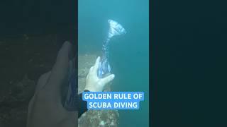 Most IMPORTANT Rule of SCUBA DIVING