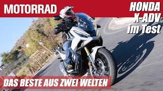 Honda X-ADV (2025): Das Beste aus zwei Welten: Adventure-Scooter mit neuen Features