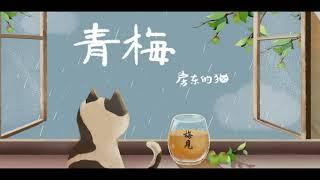 房東的貓 - 青梅