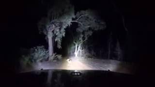 Pilliga Scrub 3.00 am part 3