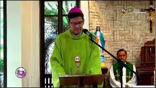 HOMILY | Friday of the 7th Week in Ordinary Time Mark 10:1-12