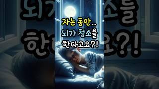 숙면이 뇌를 살린다#건강 #숙면 #꿀팁