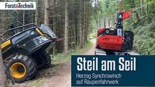 Holzernte im Steilhang mit Traktionswinde Herzog Synchrowinch und Harvester Ponsse Scorpion Giant