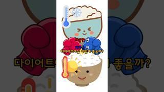 따뜻한 밥 vs 차가운 밥 다이어트 에는 어떤게 좋을까? #다이어트 #팁 #차갑밥 #저항성전분 #포만감 #혈당조절 #변비예방 #건강 #쉽게말해요 #밥