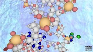 The Mechanism of Cisplatin (New -HD)