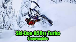 Tree Riding POV  -  2025 Ski-Doo Summit X Expert 850cc TURBO