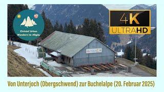 Oberallgäu: von Unterjoch zur Buchelalpe (20. Februar 2025)