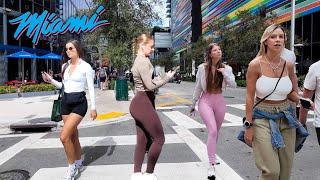 Experience Miami's Hottest Street!! Exploring the Luxurious Brickell!