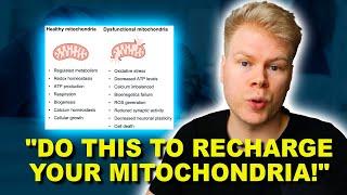 How To Fix Mitochondrial Dysfunction: Symptoms, Treatment & Supplements