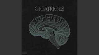 Cicatrices