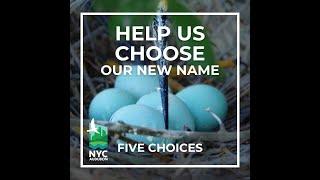 NYC Audubon Name Change: Connecting with our Stakeholders