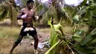 BUAKAW BANCHAMEK kick