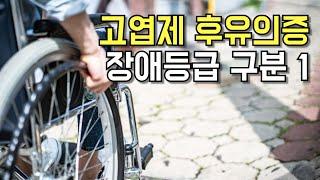 고엽제후유의증 장애등급 구분 1