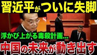 【総集編】習近平ついに失脚！ 国民の不満と暗躍する黒幕たちの正体...【ゆっくり解説】