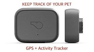 Whistle 3 Dog Tracker Unboxing and Set Up