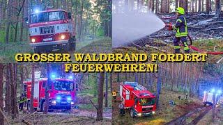 [GROSSER WALDBRAND MITTEN AUF BERG] - FEUERWEHREN im GROSSEINSATZ - | LÖSCHARBEITEN | + DROHNE