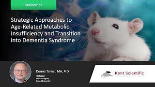 Strategic Approaches to Age-Related Metabolic Insufficiency and Transition into Dementia Syndrome