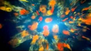 Steve Roach   Dream Body
