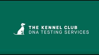 The Kennel Club DNA Testing Services