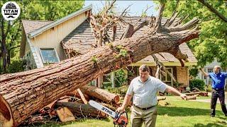 Dangerous Fastest Idiots Cutting Tree Fails Skill With Chainsaw | Tree Falling on Houses #5