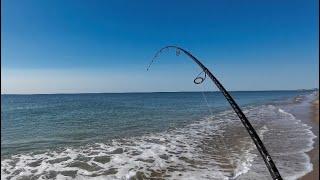 Surf Fishing For Whatever Bites Early Fall Run RI