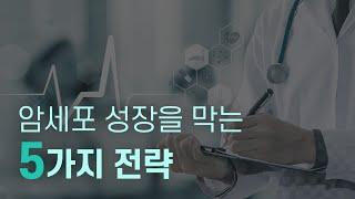 암의 예방과 성장을 억제하는 전략