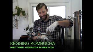 Kegging Kombucha | Part Three: Kegerator System / CO2