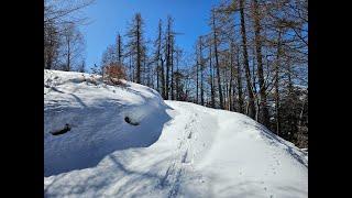 Alpeggi di COIPO e di GIOVERA (Val d'Ossola)