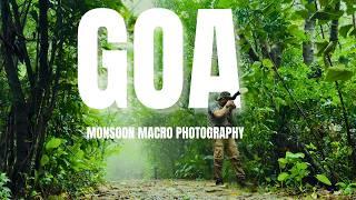 Monsoon Macro Photography in Goa’s Rainforests