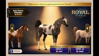 Using 4000 Gems To Buy New Horses Buuut.... 