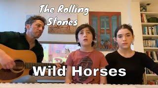 Altermans - Wild Horses by The Rolling Stones (Cover)