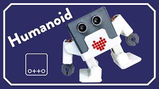 What can Otto DIY Humanoid robot do?