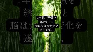 1年間、習慣を継続すると脳は大きな変化を遂げます。 #継続 #成功者の習慣#モチベーション上げ方 #言葉の力 #マインドセットを変える #ポジティブ思想 #パレート法則 #自己成長 #信頼感