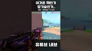 핵 vs 잡기술 #reyna #valorant #발로란트 #레이나 #flickshot